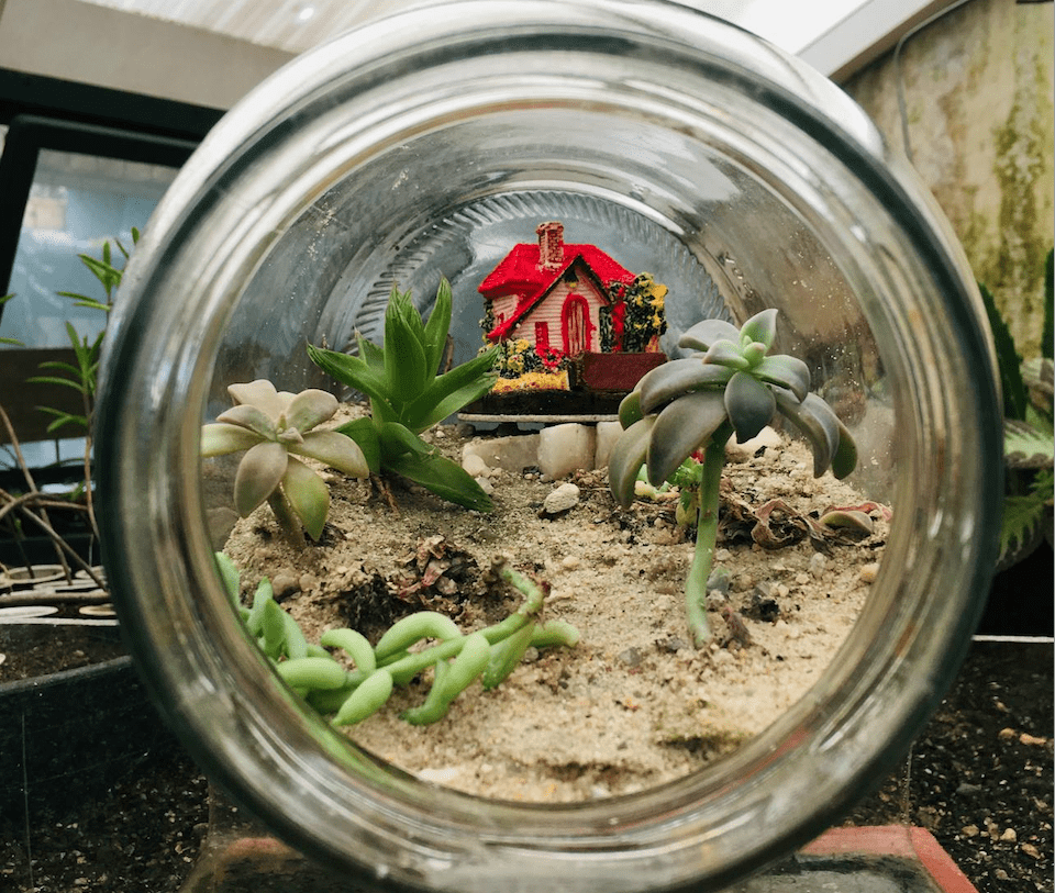Uma bela paisagem de um pôr do sol que simboliza a importância do presente na vida.